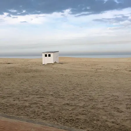 Apparemment Lumineux A200m Des Plages De アパート *