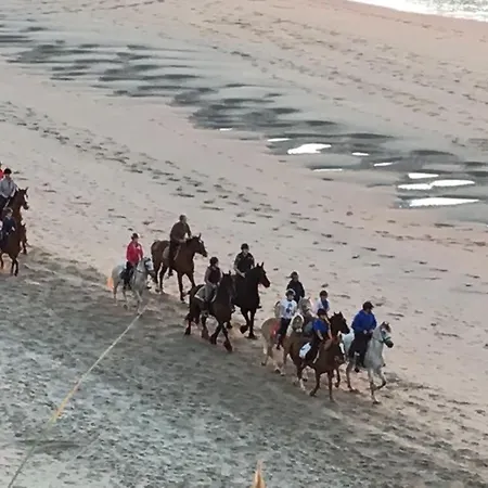 アパート Apparemment Lumineux A200m Des Plages De コクセッド